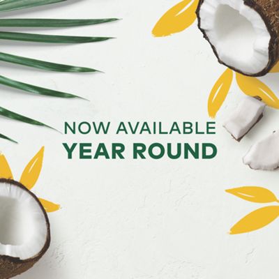 Keurig - Island Coconut Coffee - Image 2